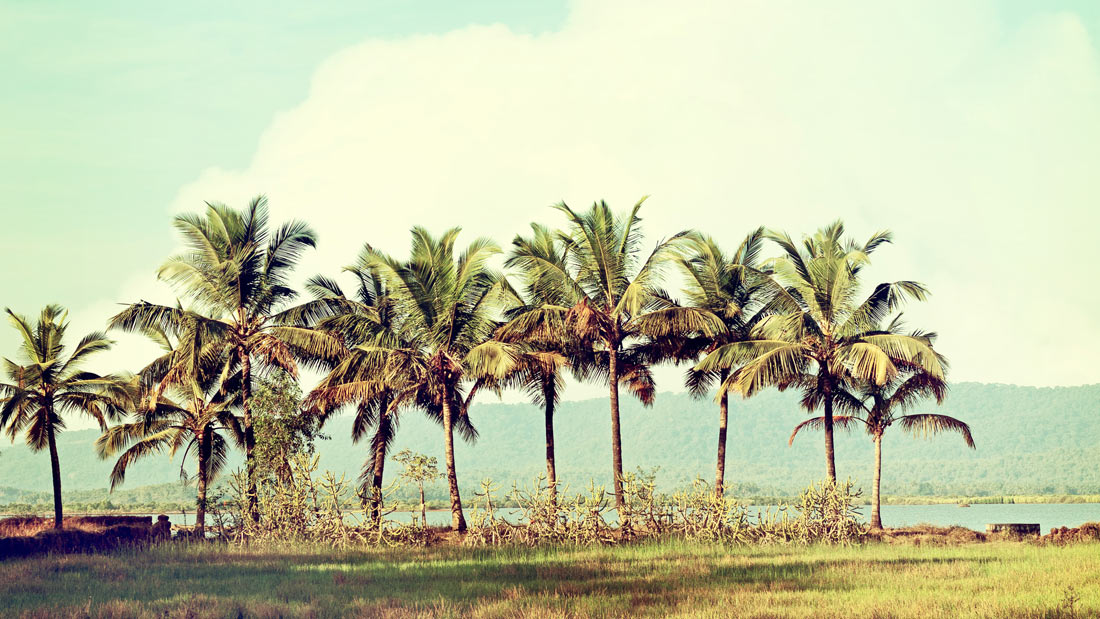 blog5